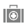 Wellness Category